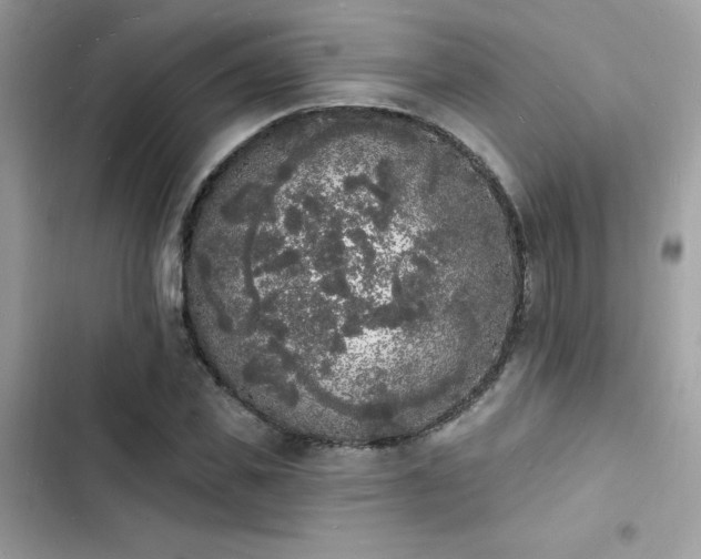 X0000103970925200809191531