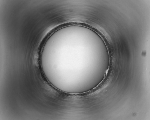 X0000103970926200809191531