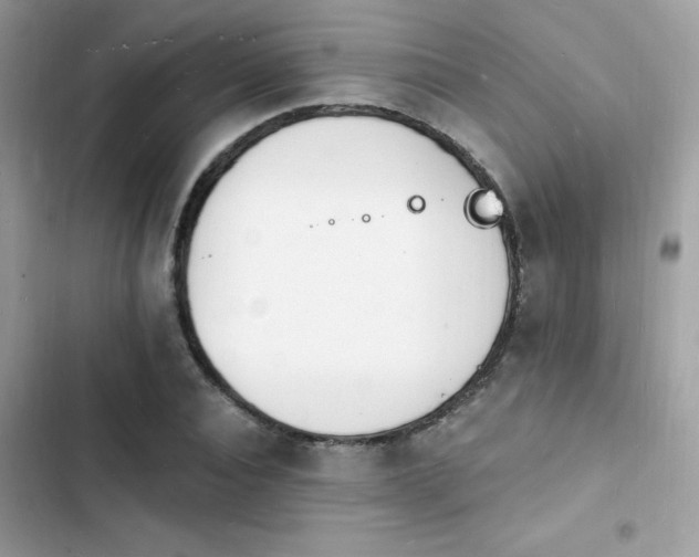 X0000103970928200809191531