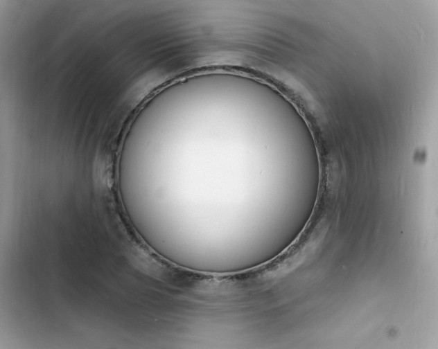 X0000103970929200809191531