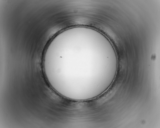 X0000103970930200809191531