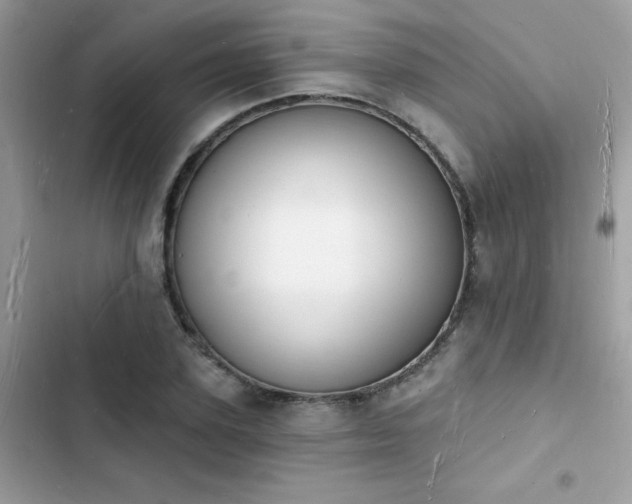 X0000103970931200809191531