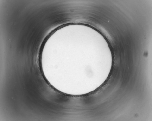 X0000103970932200809191531