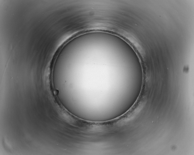 X0000103970933200809191531