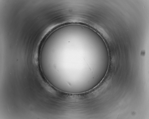 X0000103970934200809191531