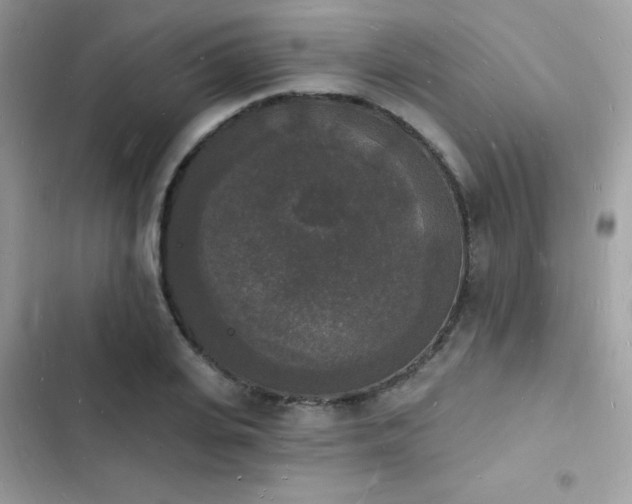 X0000103970935200809191531