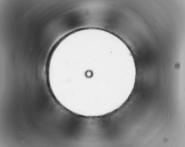 X0000103970936200809191531