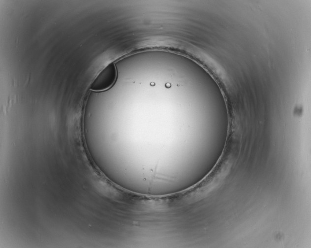 X0000103970937200809191531