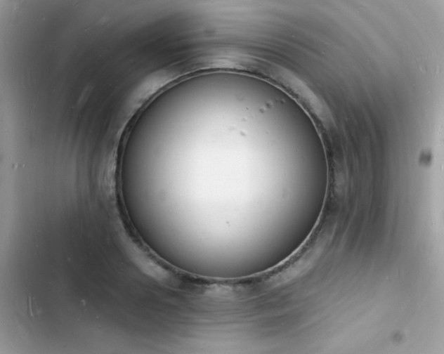 X0000103970938200809191531