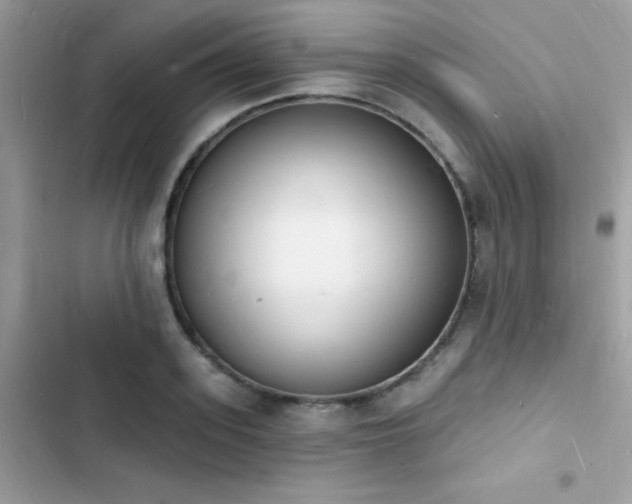 X0000103970939200809191531