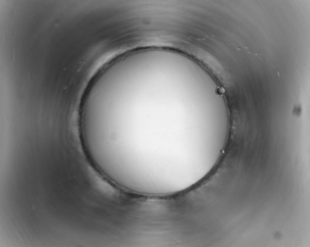 X0000103970942200809191531