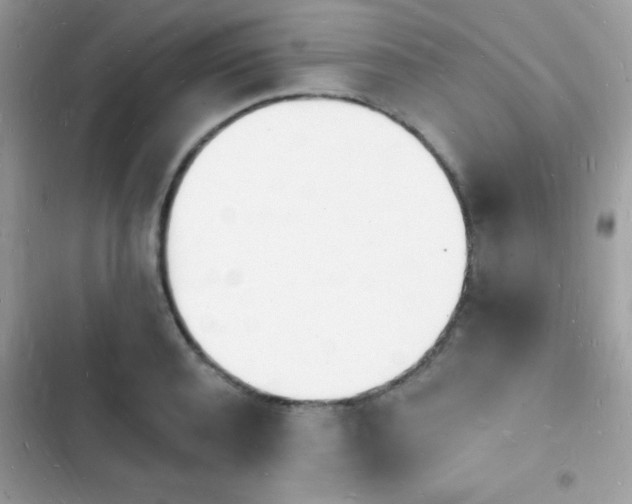 X0000103970944200809191531