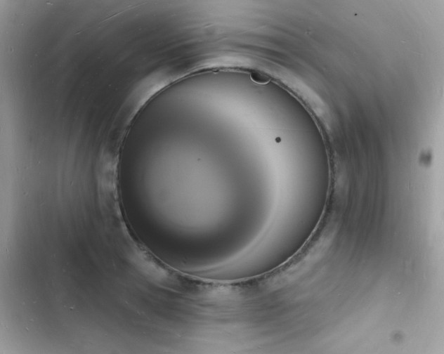 X0000103970945200809191531