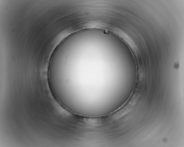 X0000103970946200809191531