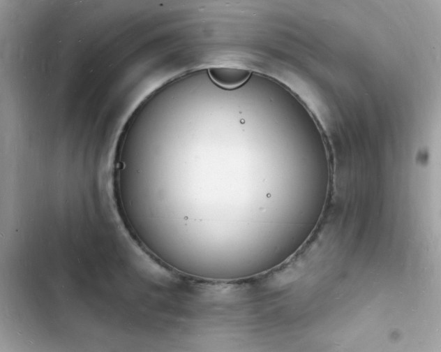 X0000103970949200809191531