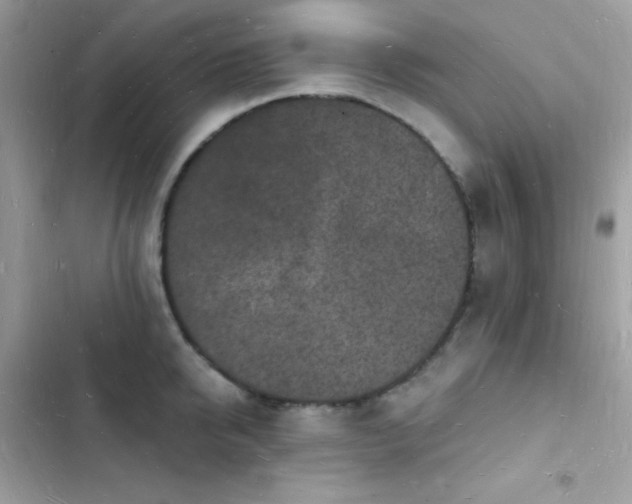 X0000103970950200809191531