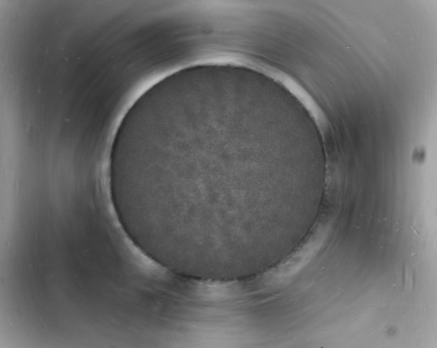 X0000103970951200809191531