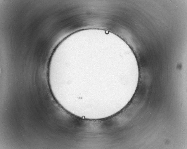 X0000103970952200809191531