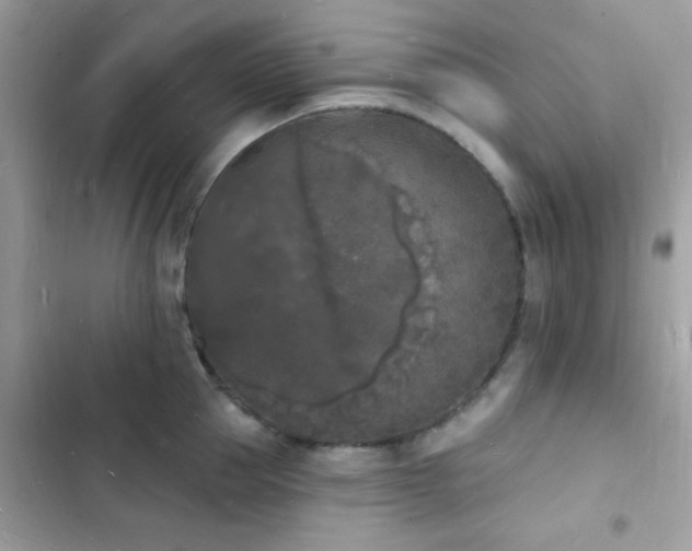 X0000103970953200809191531