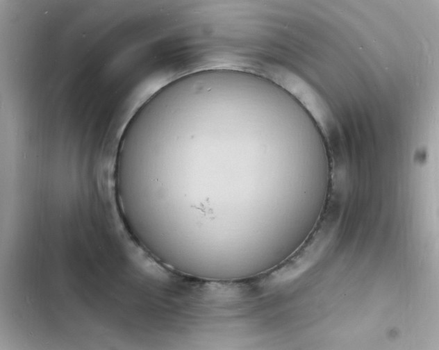 X0000103970954200809191531