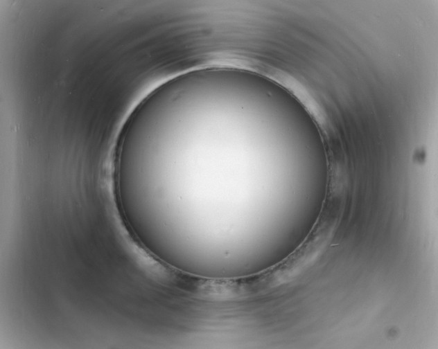 X0000103970955200809191531