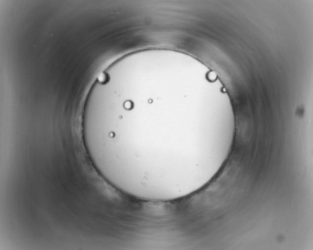 X0000103970956200809191531