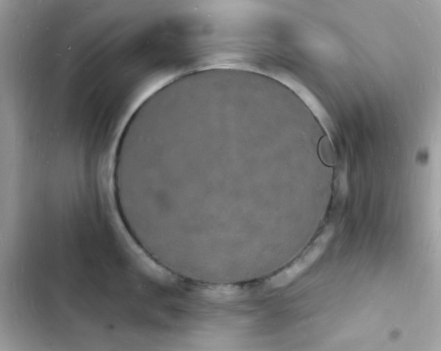 X0000103970957200809191531