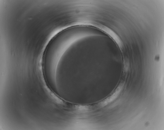 X0000103970958200809191531