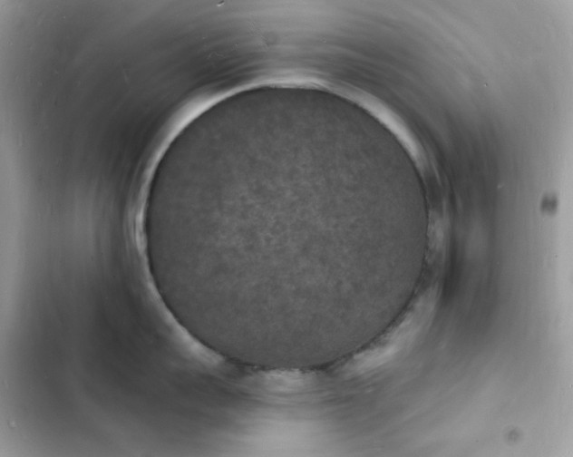 X0000103970959200809191531