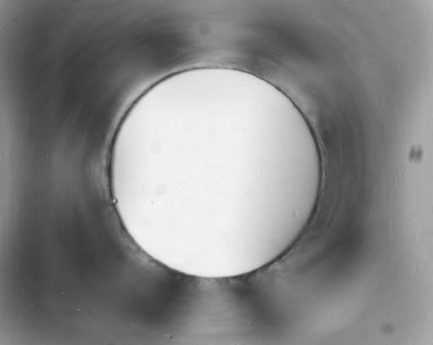 X0000103970960200809191531