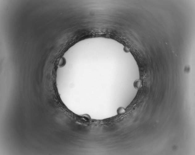 X0000103970961200809191531