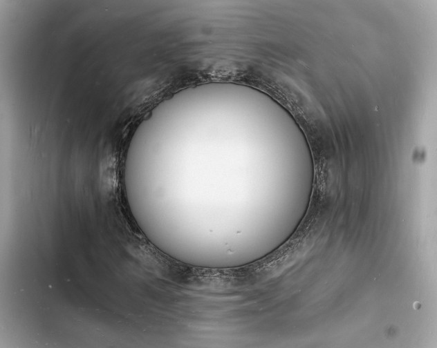 X0000103970962200809191531