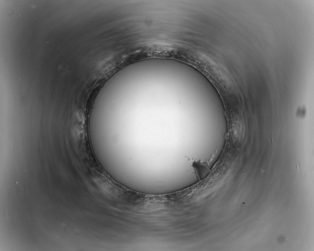 X0000103970964200809191530