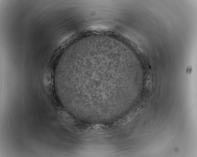 X0000103970966200809191530