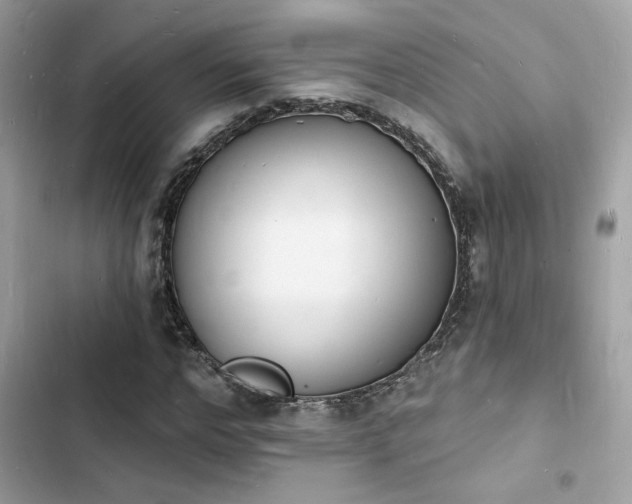 X0000103970968200809191530