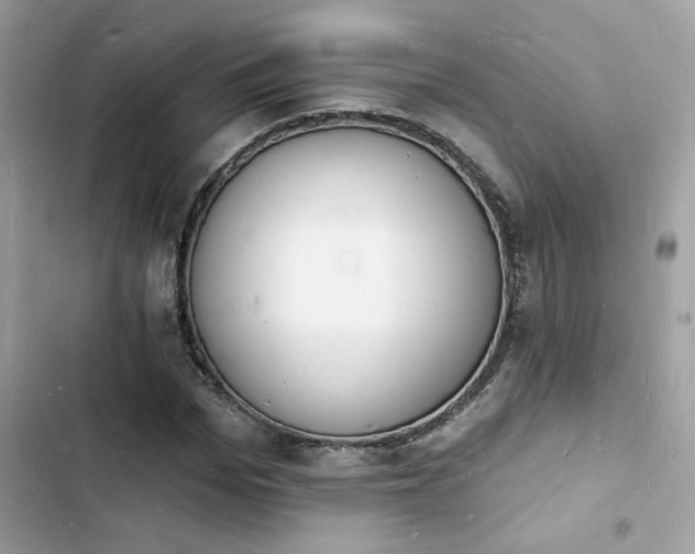 X0000103970969200809191530