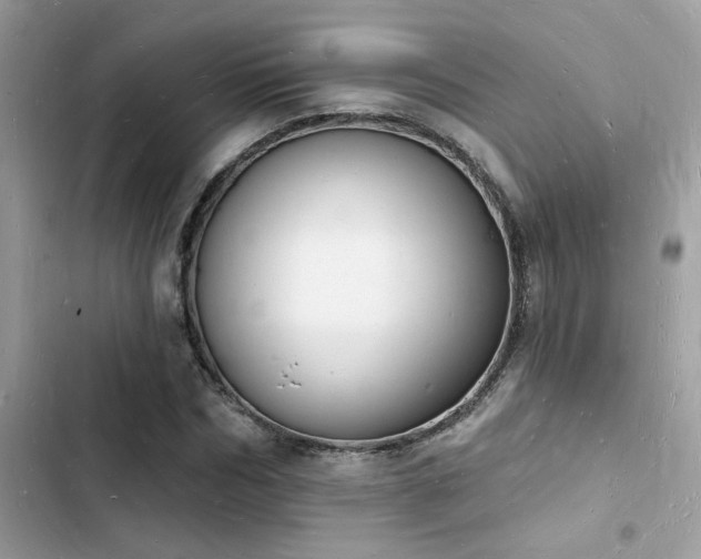 X0000103970970200809191530