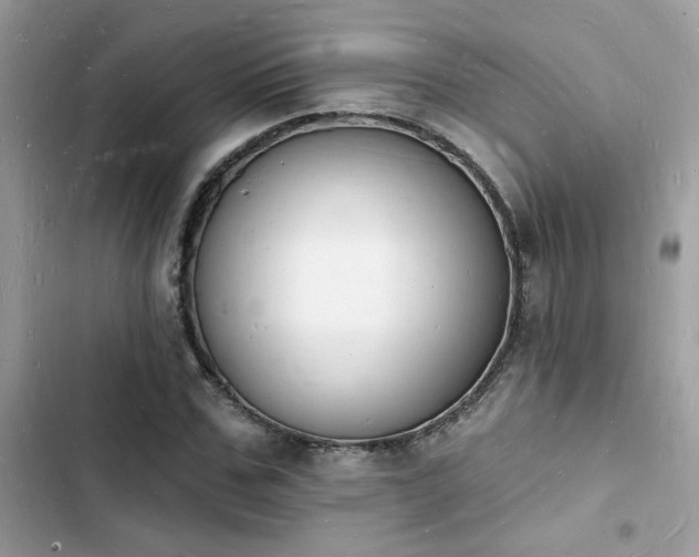 X0000103970971200809191530