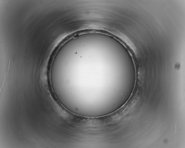 X0000103970972200809191530