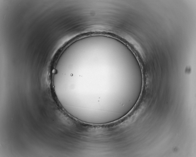 X0000103970973200809191530