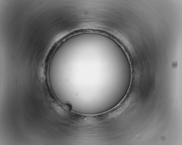 X0000103970974200809191530