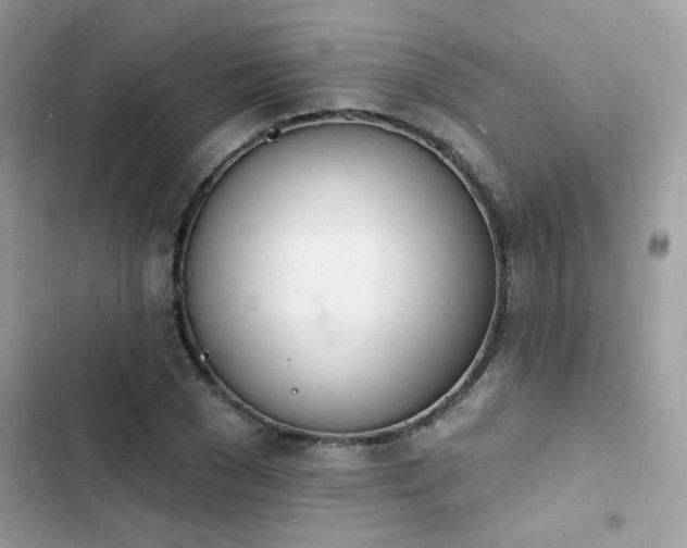 X0000103970977200809191530