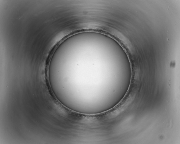 X0000103970978200809191530