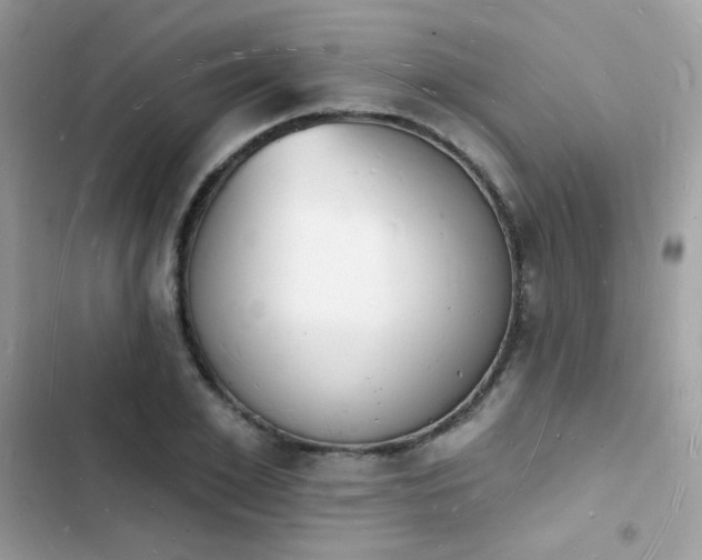 X0000103970981200809191530