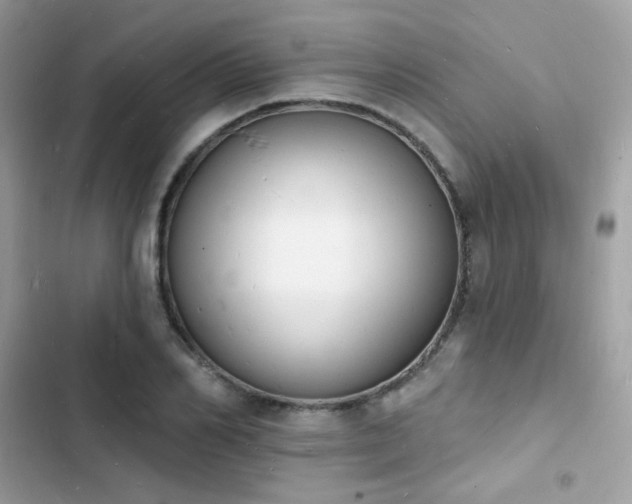 X0000103970982200809191530