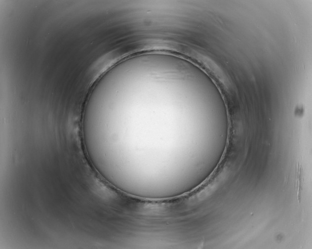 X0000103970985200809191530