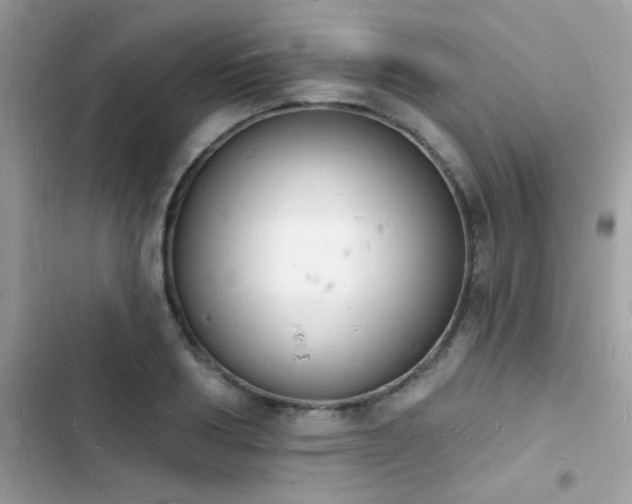 X0000103970986200809191530