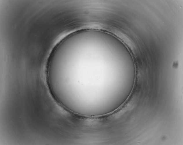 X0000103970989200809191530