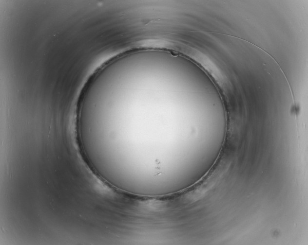 X0000103970992200809191530