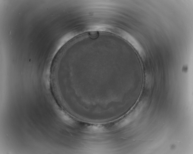 X0000103970994200809191530